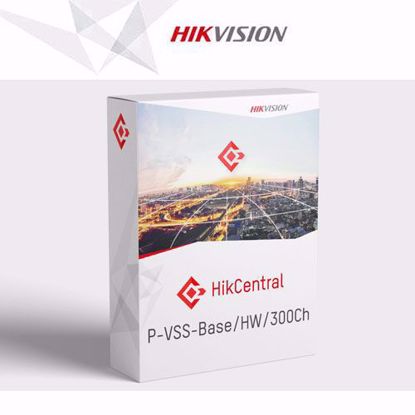 Hikvision HikCentral-P-VSS-Base/HW/300Ch, server sa baznom licencom video nadzora 300 kamera