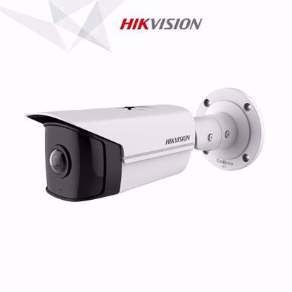 Hikvision DS-2CD2T45G0P-I fisheye bullet kamera